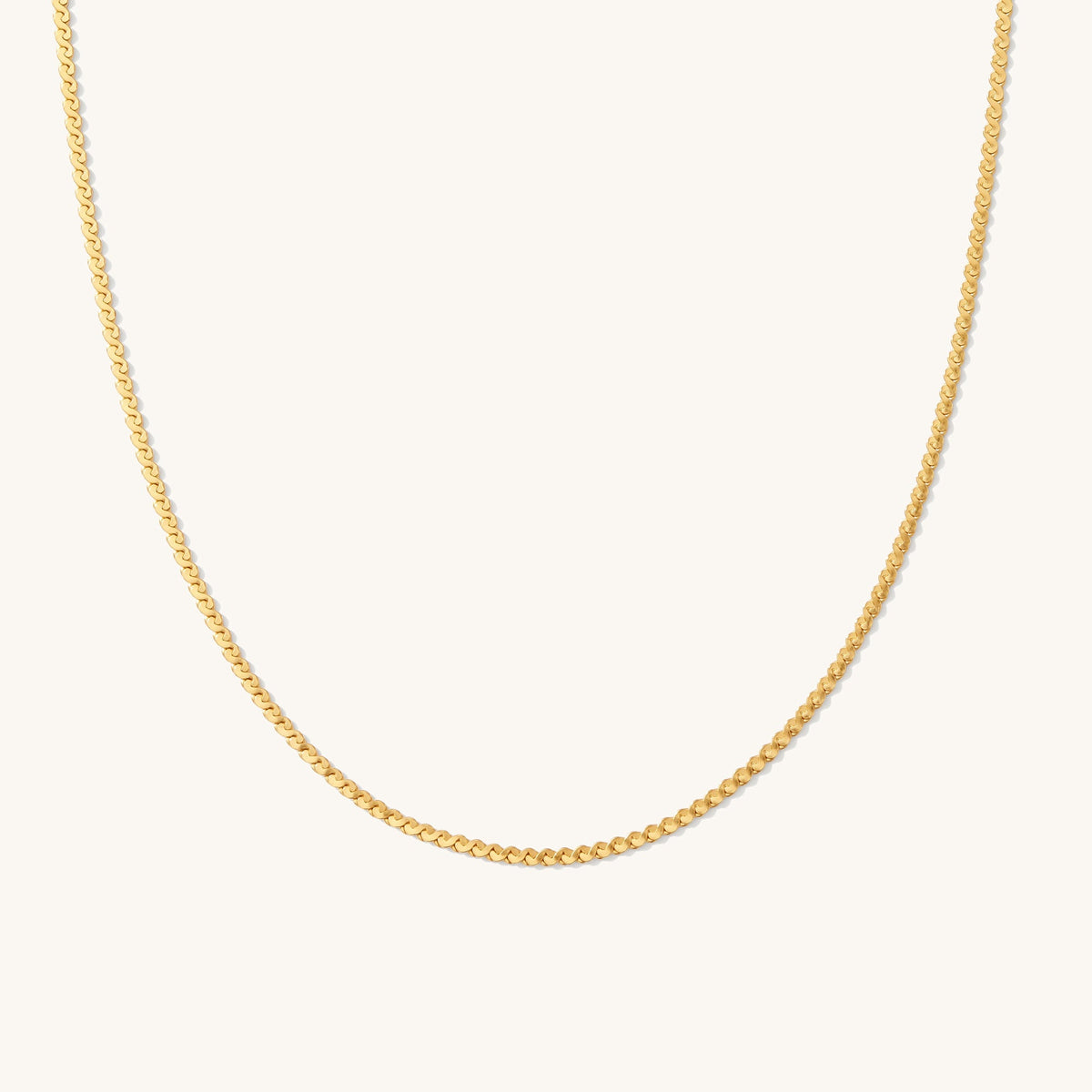 Dainty Serpentine Chain Necklace
