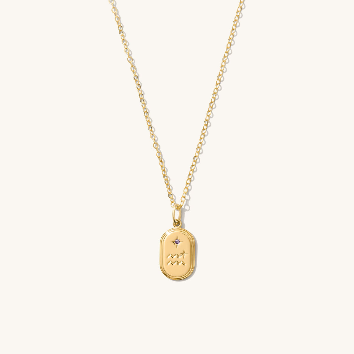 Dainty Oval Zodiac Necklace - Reversible