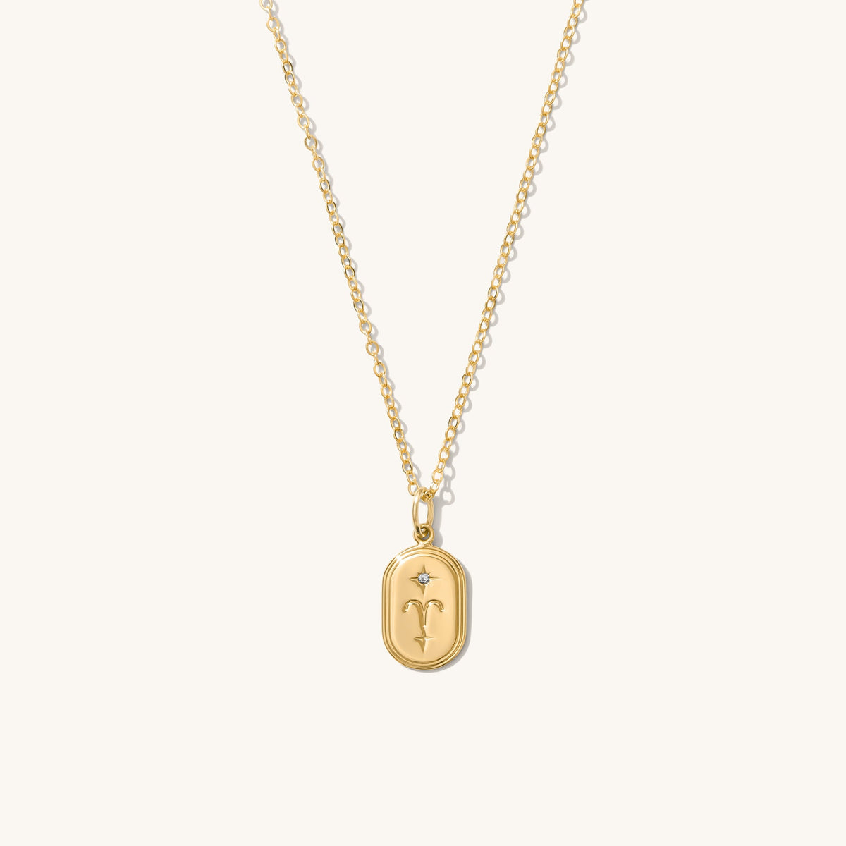Dainty Oval Zodiac Necklace - Reversible
