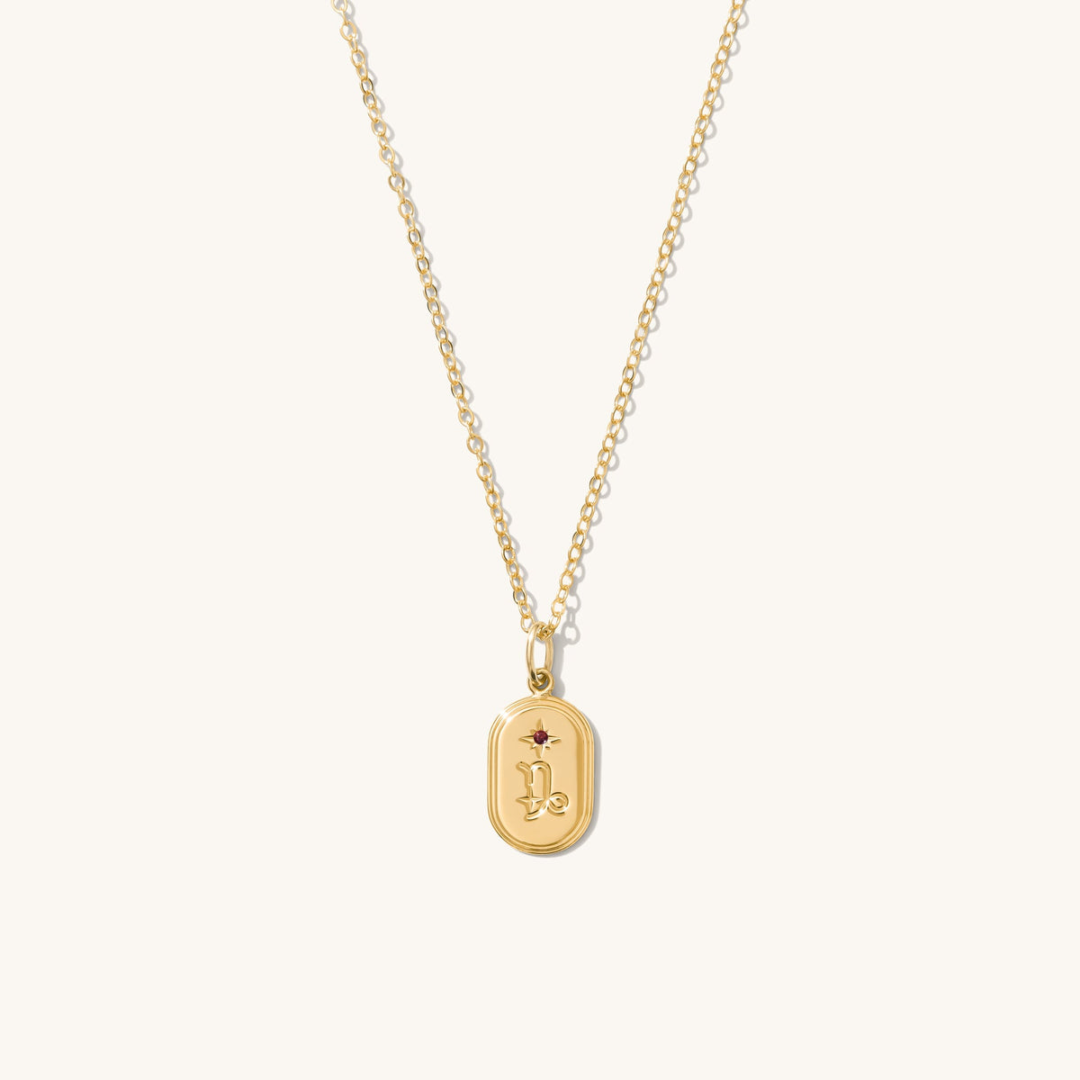 Dainty Oval Zodiac Necklace - Reversible
