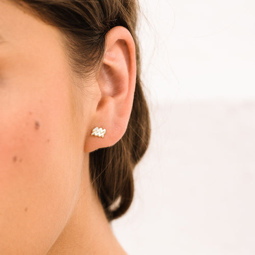 Zodiac Screwback Stud Earrings