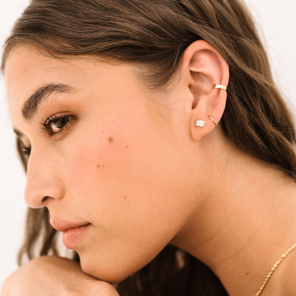 Zodiac Screwback Stud Earrings
