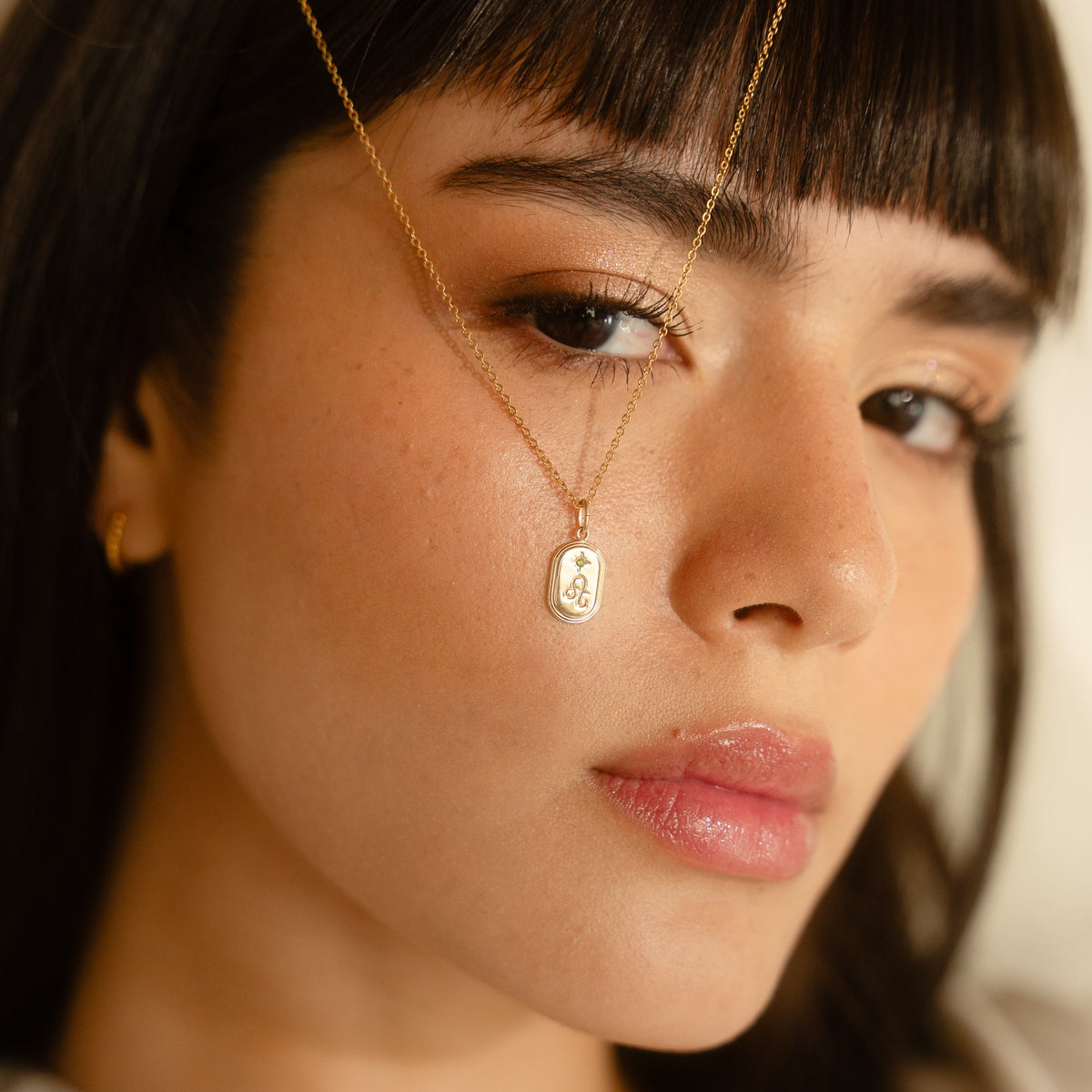 Dainty Oval Zodiac Necklace - Reversible