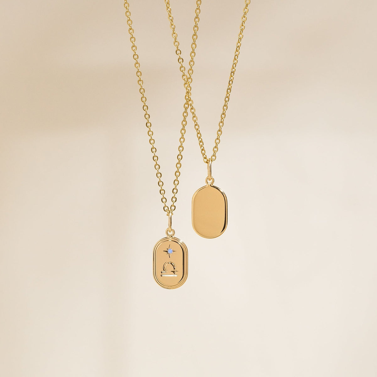 Dainty Oval Zodiac Necklace - Reversible