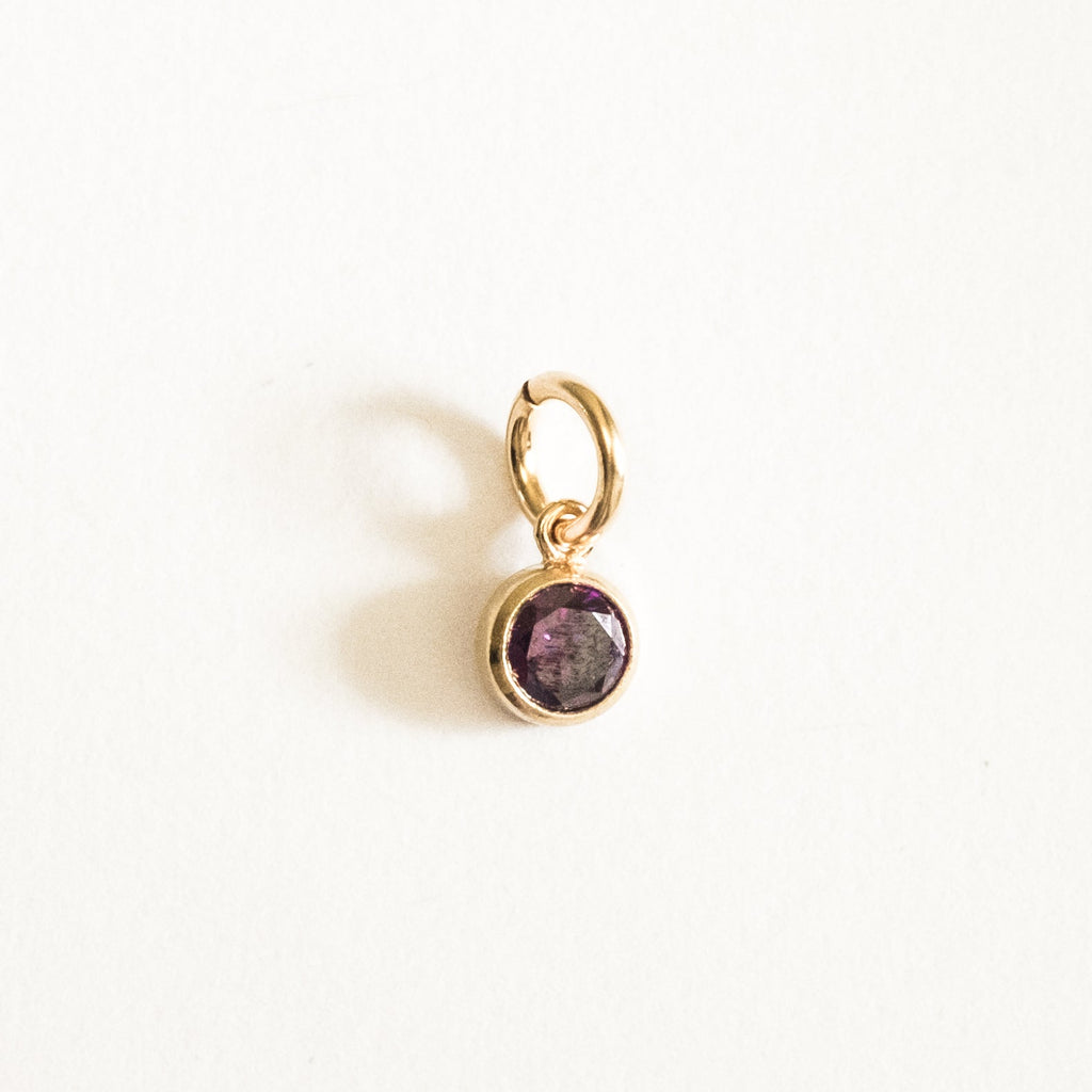 February Birthstone Charm (Amethyst)