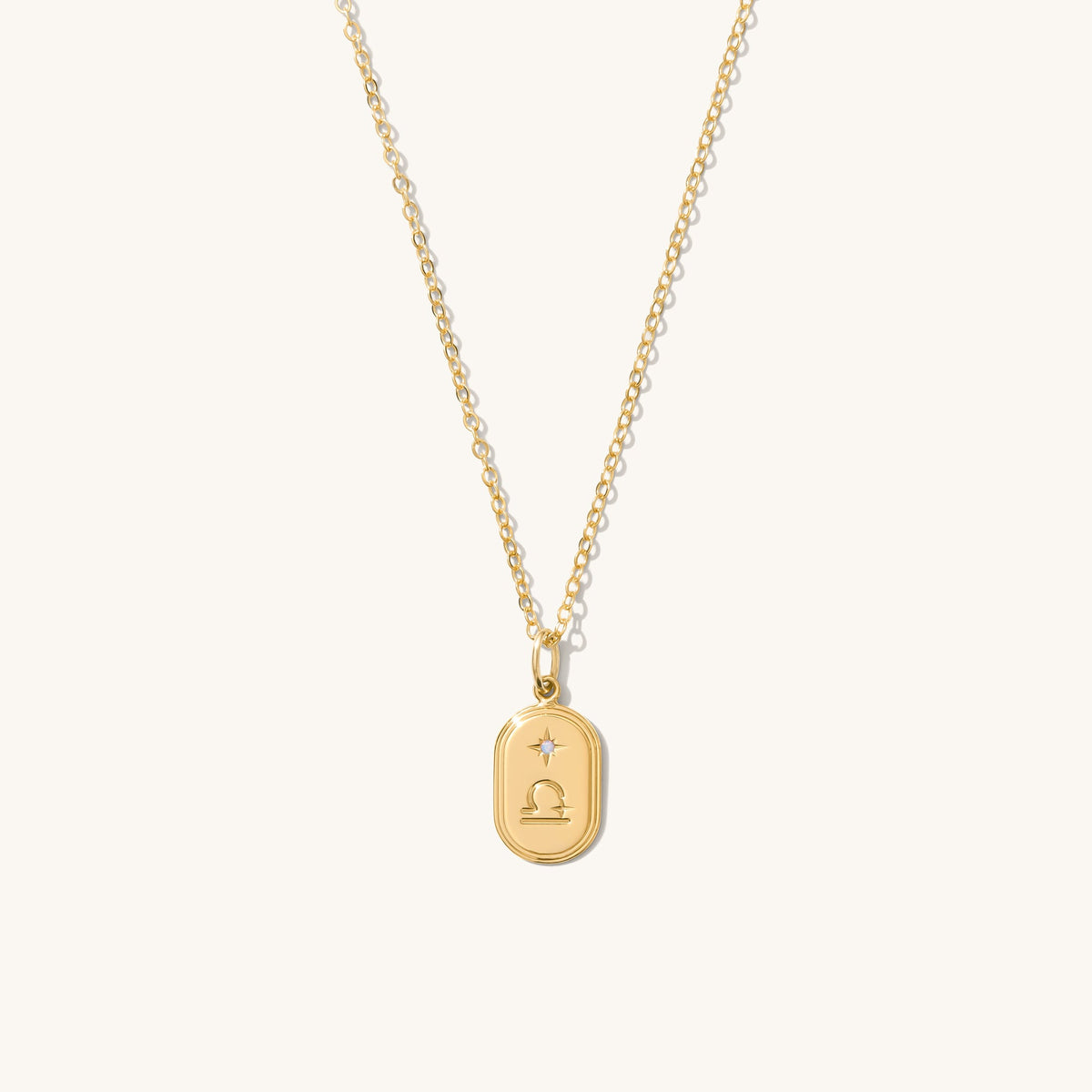 Dainty Oval Zodiac Necklace - Reversible