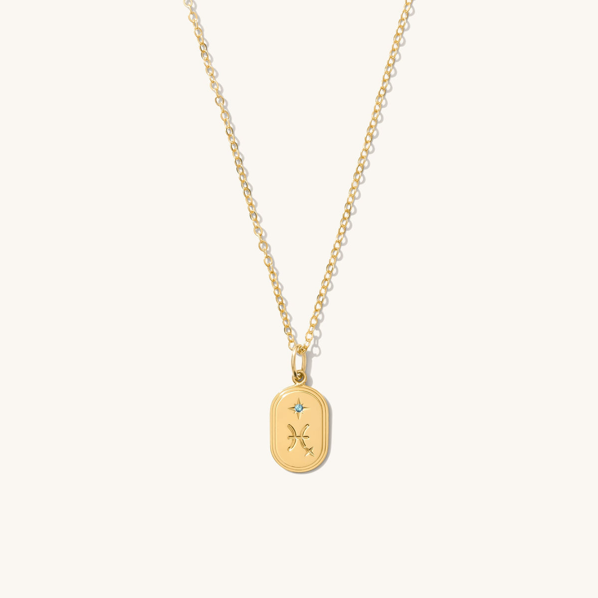 Dainty Oval Zodiac Necklace - Reversible