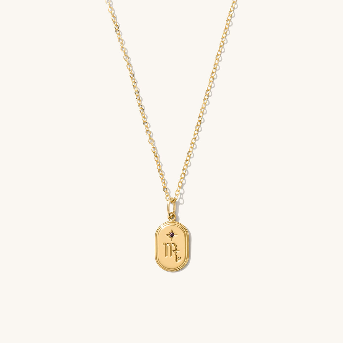 Dainty Oval Zodiac Necklace - Reversible