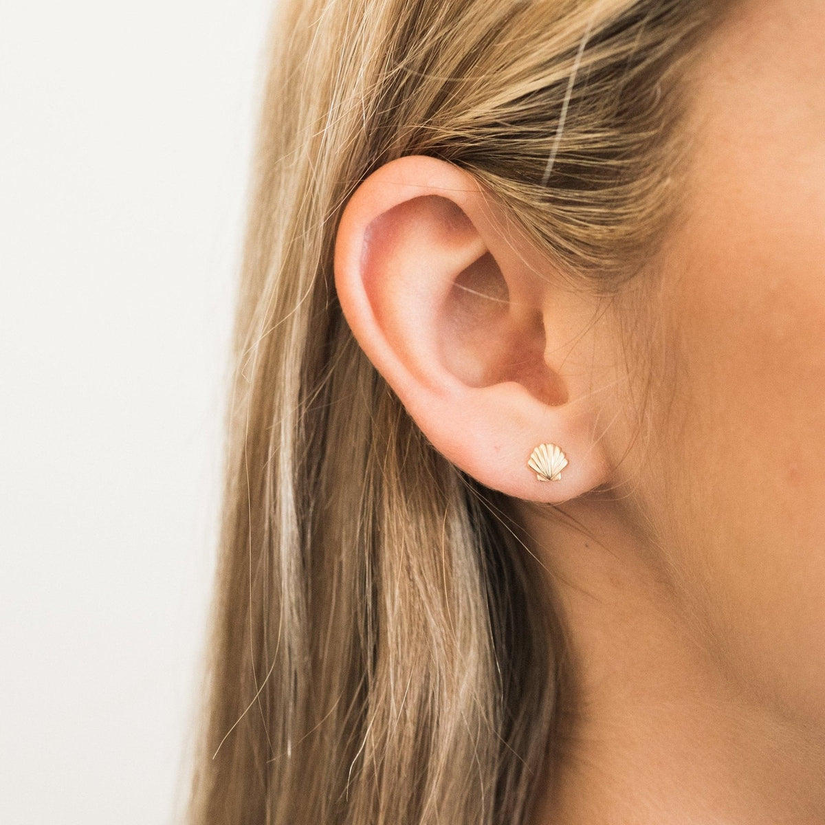 Seashell Stud Earrings