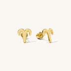 Zodiac Screwback Stud Earrings