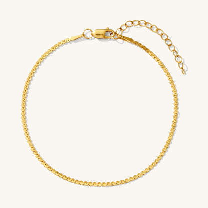Dainty Serpentine Chain Bracelet