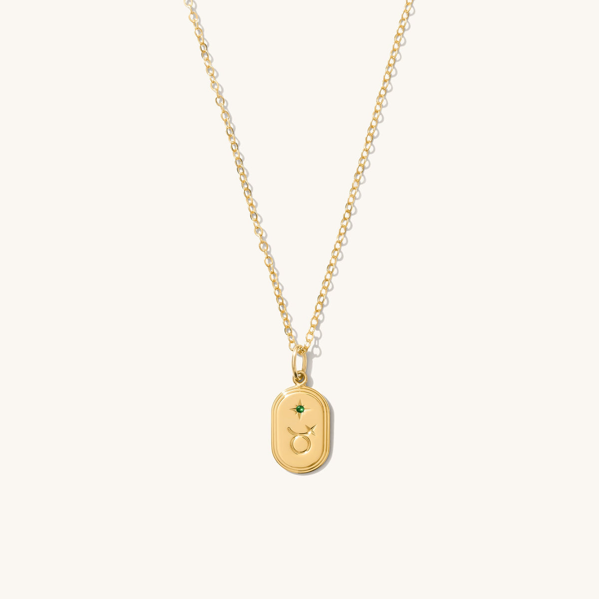 Dainty Oval Zodiac Necklace - Reversible