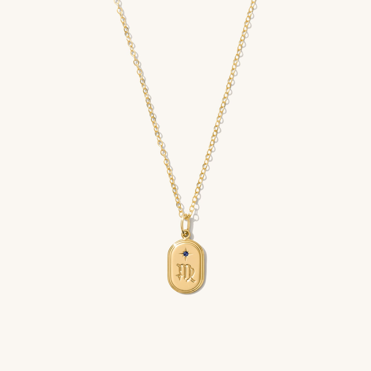 Dainty Oval Zodiac Necklace - Reversible