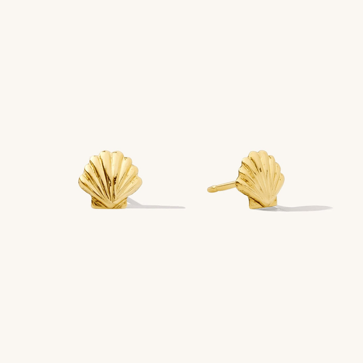 Seashell Stud Earrings
