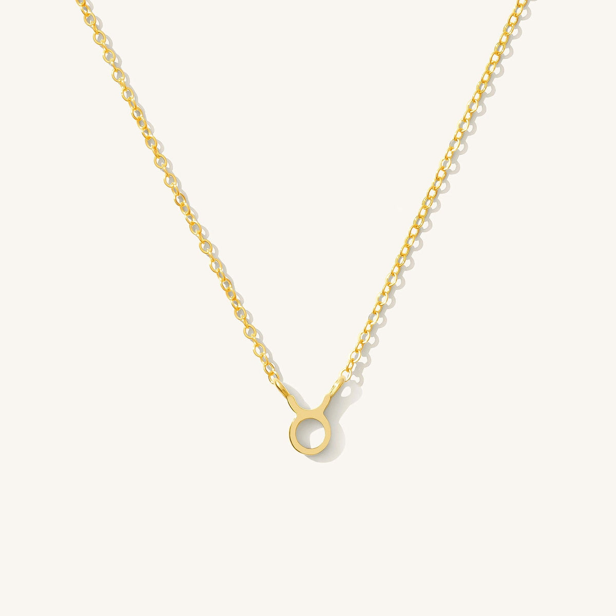 Tiny Zodiac Necklace