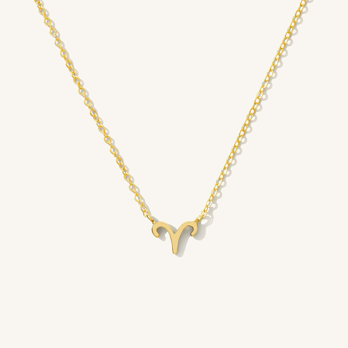Tiny Zodiac Necklace