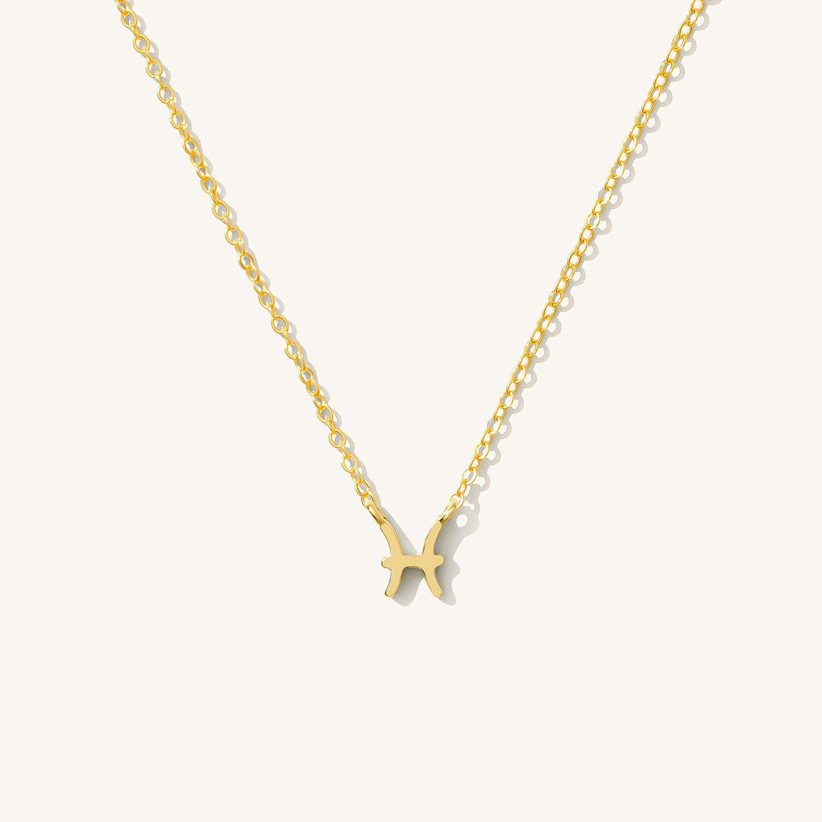 Tiny Zodiac Necklace